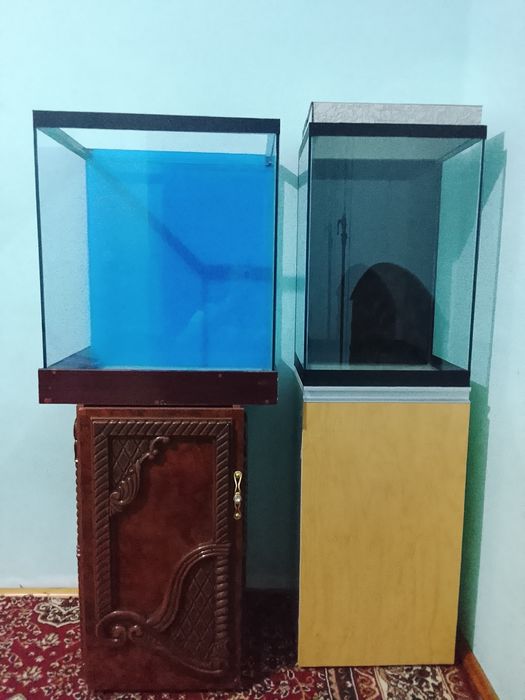 Akvariumlar sotiladi