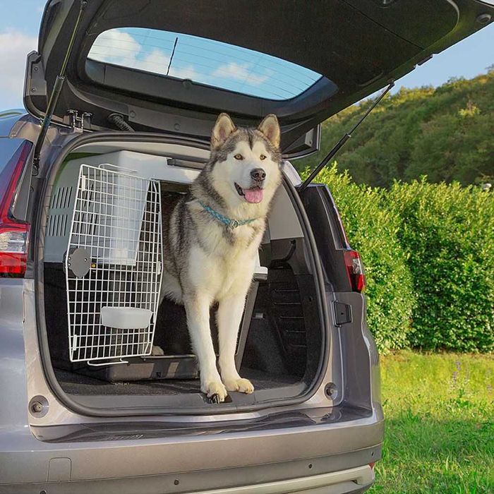 Авиабокс для животных