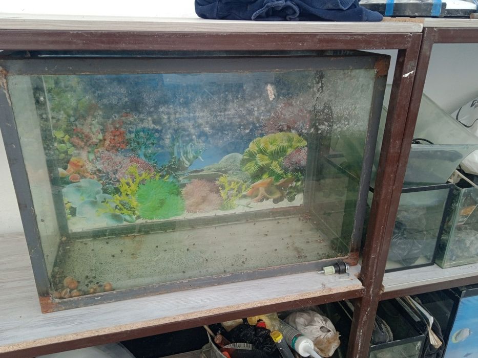 Бу аквариумы,и стелажи
