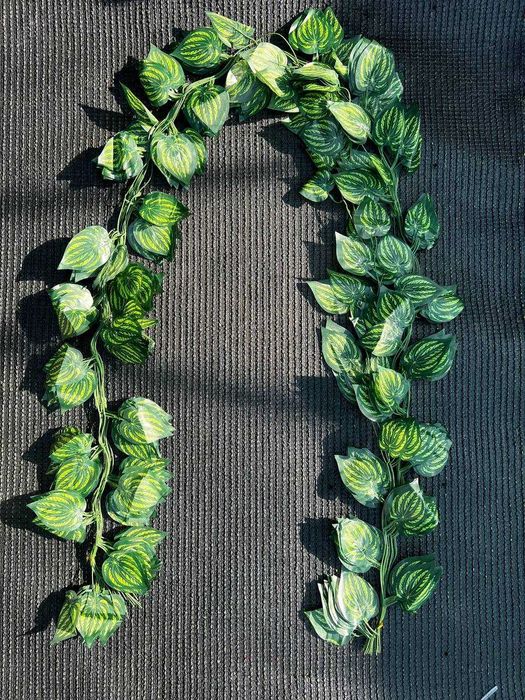 Osma gullar - Висячие цветы