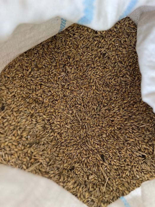 Furaj pentru animale de ferma!