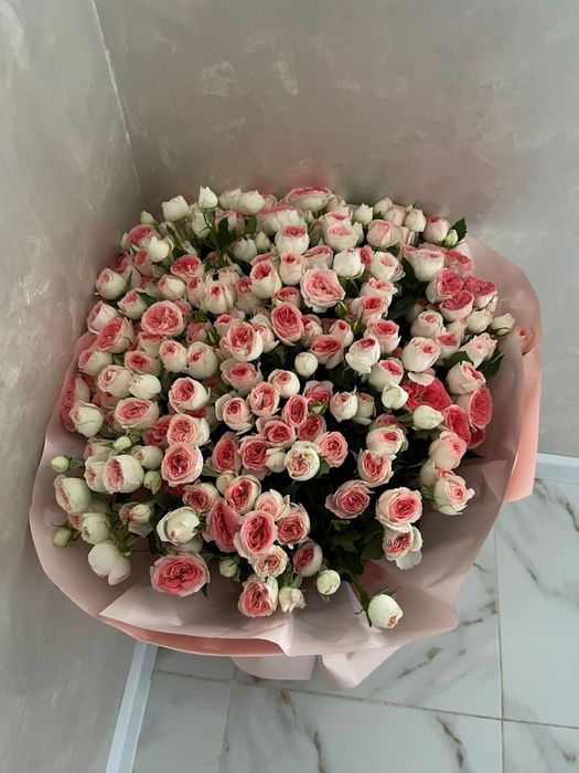 Продам розы 101 роза свежие