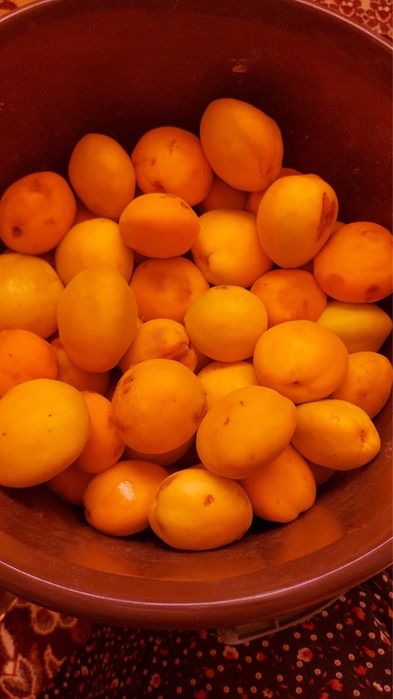 Продам ДАЧУ или ОМБЕН на машину