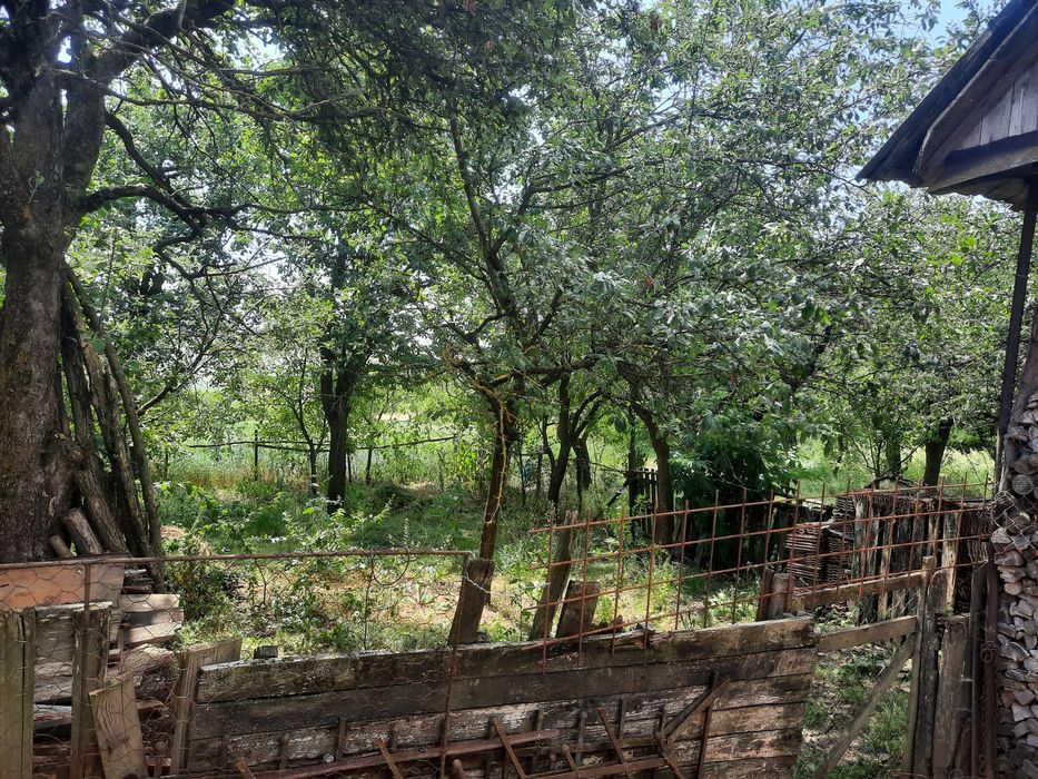 Vand casa sat Rediu comuna Aiton