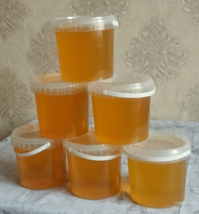 Продам свежий мёд, сбор 2026 года