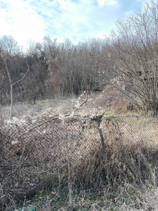 Продава се Парцел в с. Синаговци, Област Видин - 2200 кв.м за 5 €/кв.м - Снимка #8