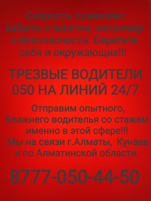 Трезвые водители Алматы!