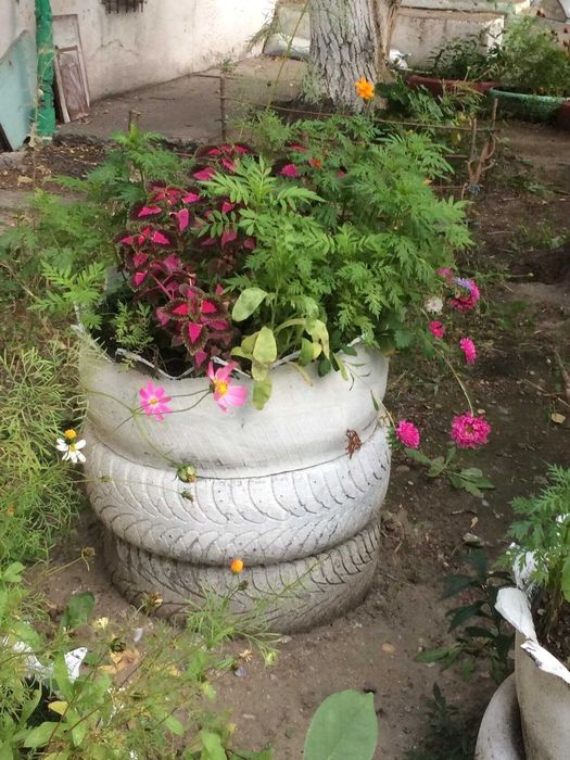 вазоны *подснежники*  в саду