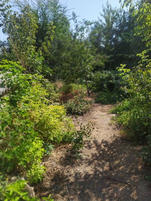 СРОЧНО! Продается дом.