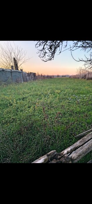 Teren de vanzare judetul Dambovita comuna Vladeni, 4500 mp , acte la zi