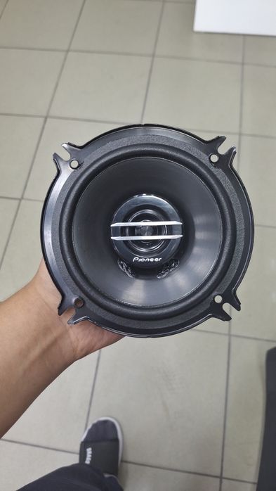 Pioneer TS-G1320F