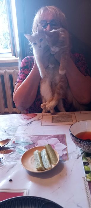 Отдам котят даром