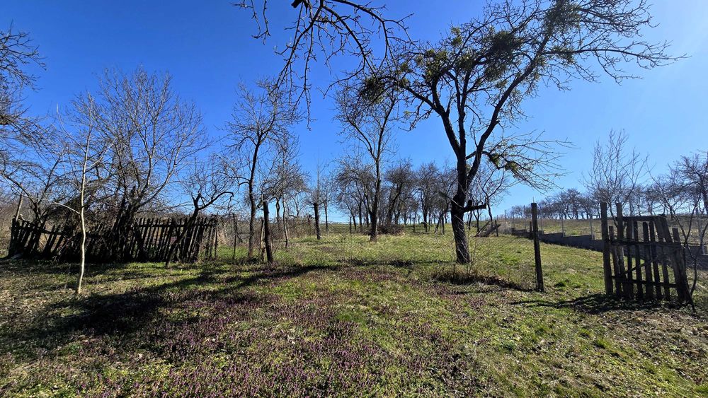 CASA LA TARA-45km de Baia Mare(Ulmeni)