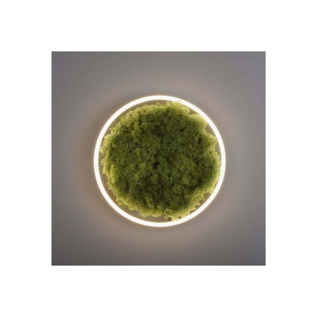 Плафониера от естествен исландски мъх