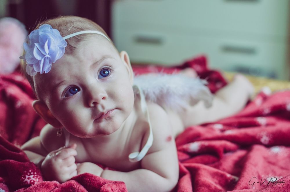 Foto Video Cluj Floresti