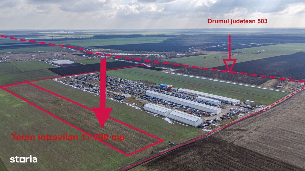 Teren intravilan Belciugatele*300 m de DN*Linie de tensiune medie*Plat