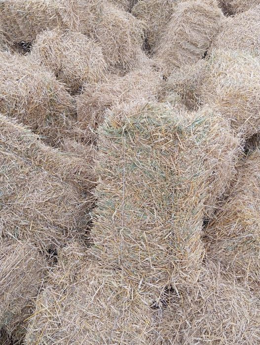 Продам салома хорошую