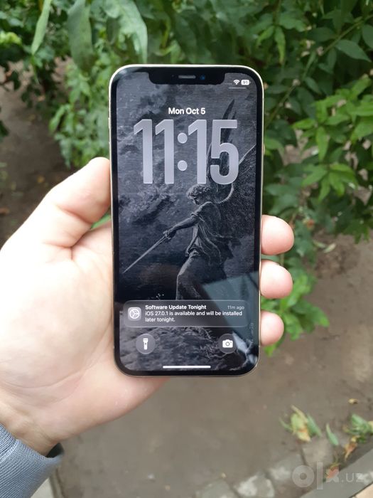 Iphone 12 pro gold