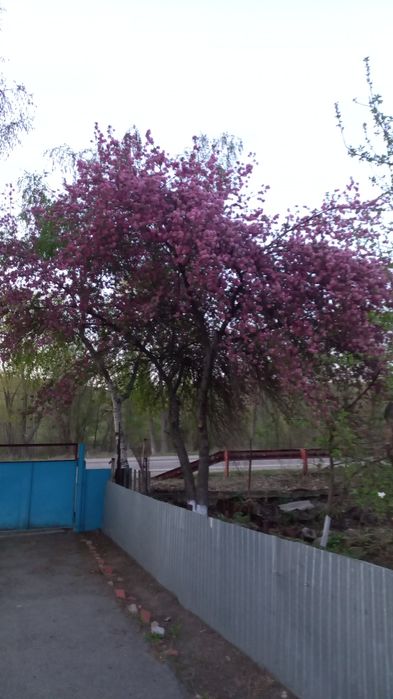 Дом в село карабулак