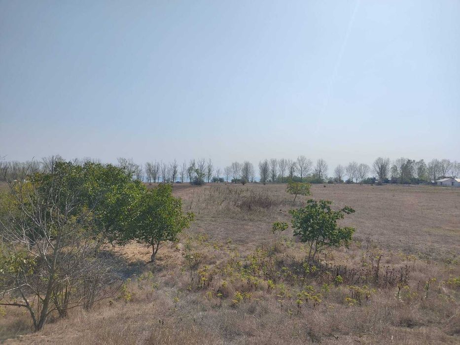 Продава се Парцел в с. Крапец, Област Добрич - 2500 кв.м за 31 €/кв.м - Снимка #3