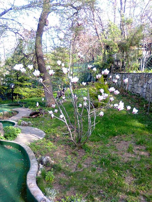 Продава се Парцел в с. Марково, Област Пловдив - 600 кв.м за 142 €/кв.м - Снимка #4