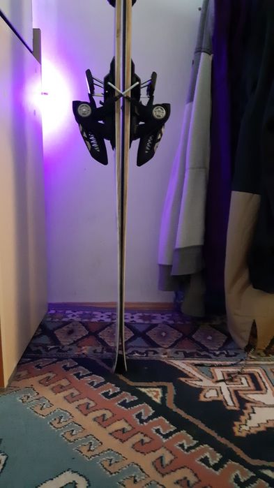 Vand Schiuri Freeride Evi Parlamentarisme 75