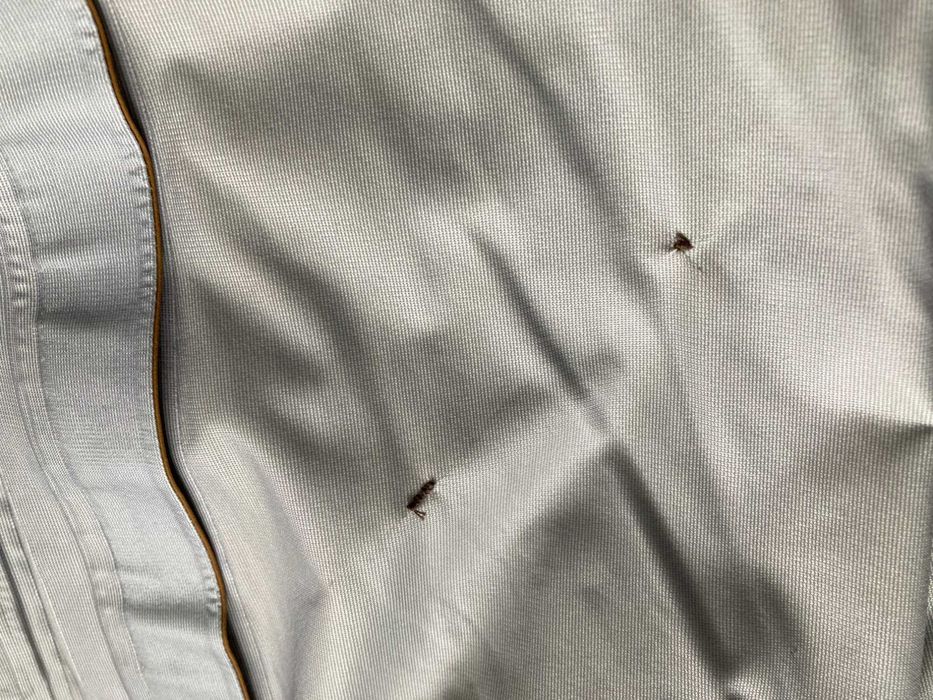 Peak Performance Alpine Pants GORE TEX мъжки сноуборд ски панталон XL