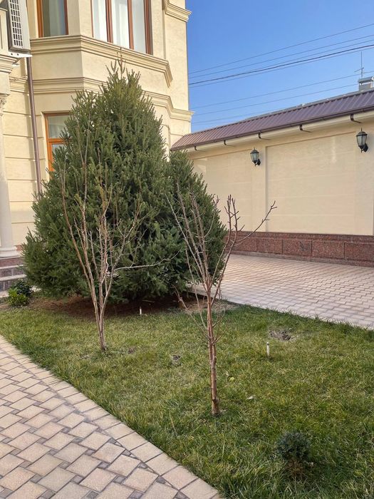 Дом Аренда Богчага