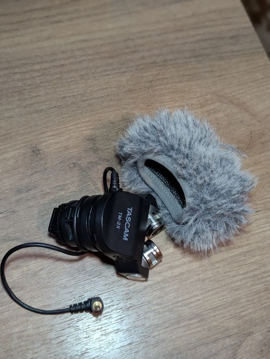 Microfon tascam tm 2x