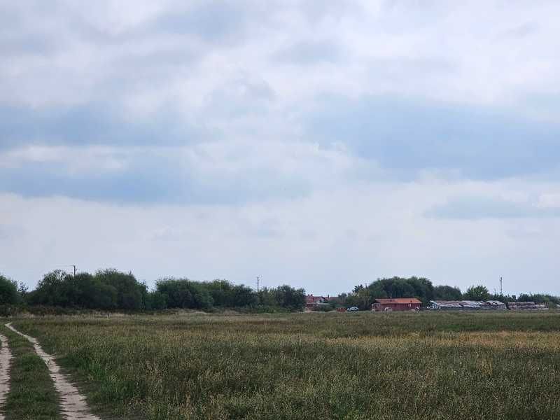 Продавам 12 дка земя в землището на с. Калековец