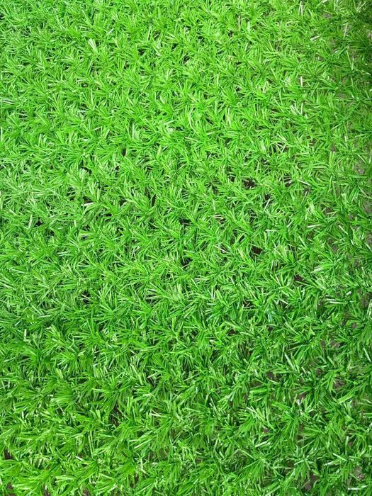 Еврозабор,Евросетка,Рабица сетка,Дорожная сетка,Экозабор