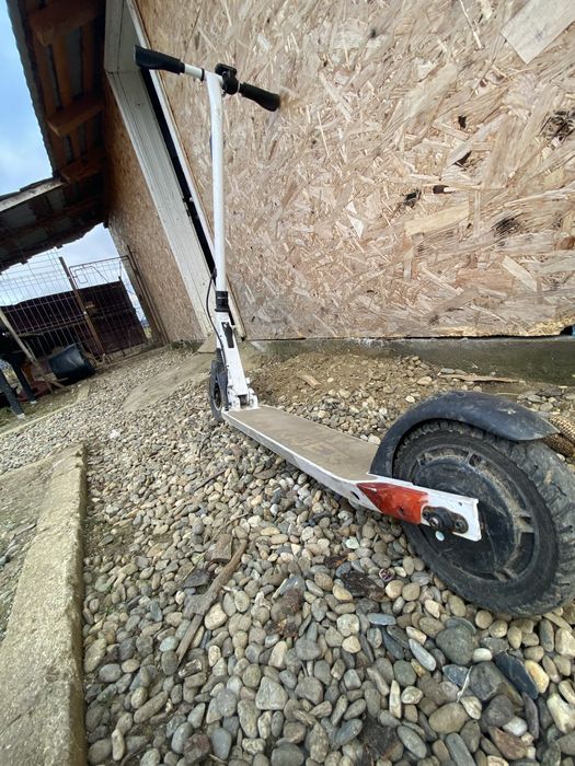 Myria Sky Rider Alba