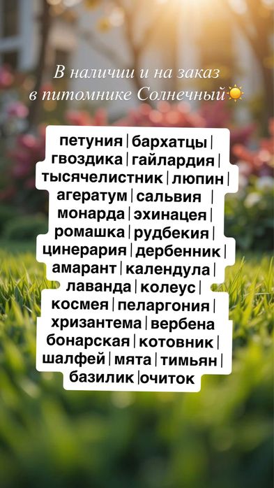 Питомник «Солнечный» растения для сада
