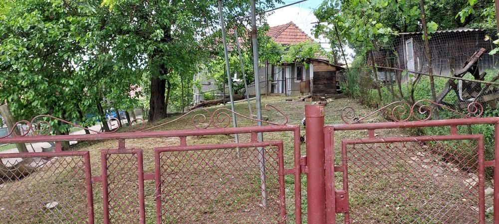 Casa de vanzare Budesti, Bistrita-Nasaud