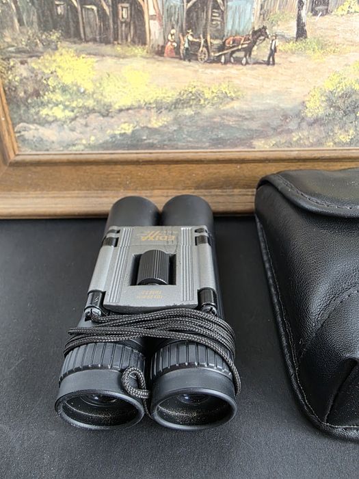 Binoclu 10x25...