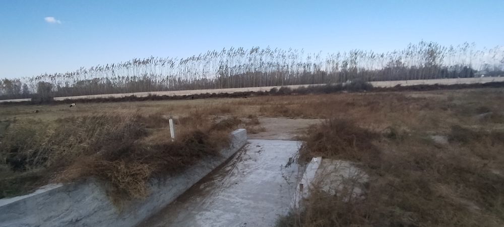 Тошлок туманида жойлашган 4 гектарли молхона бино иншоати