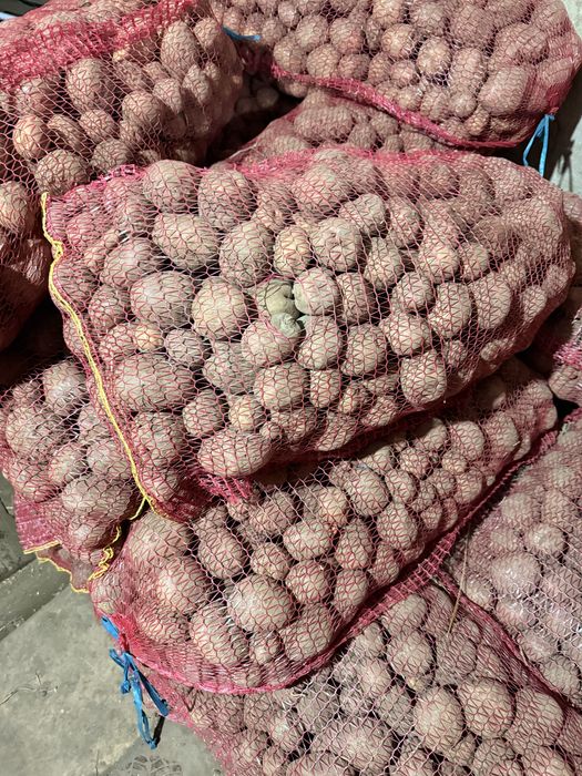 Cartofi pentru animale