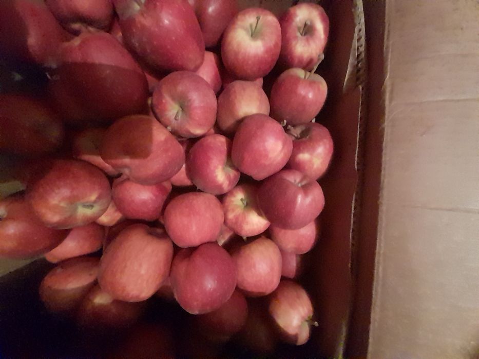Продам яблоки сорт американка