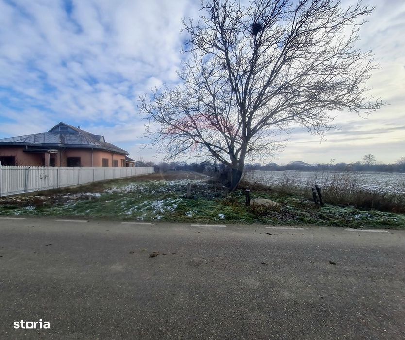 Teren intravilan 1,564mp in Gologanu