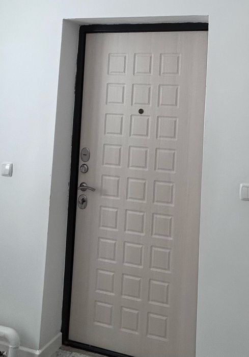 Дверь наружный металлический