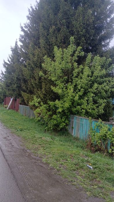 Продам дом в селькой местности