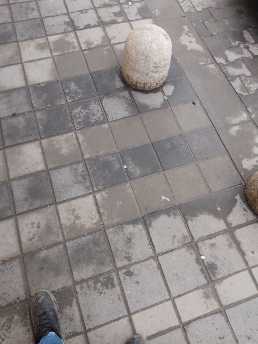 Кокошки продаване