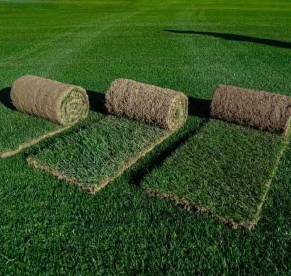 Gazon Rulou Sisteme de Irigare