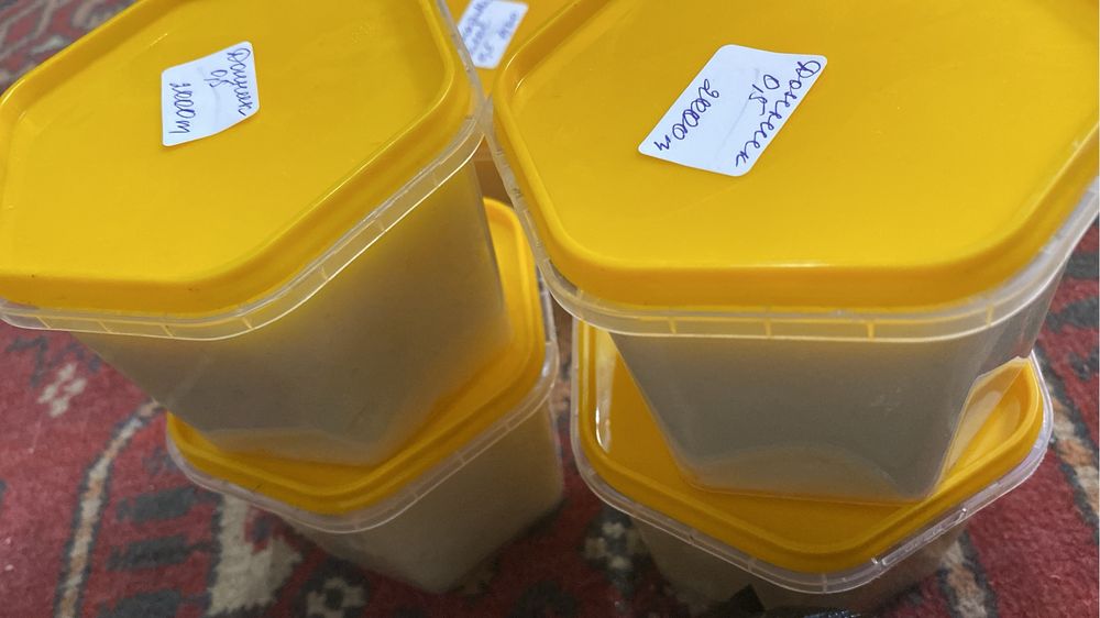 Мед натуральный с Республики Алтай