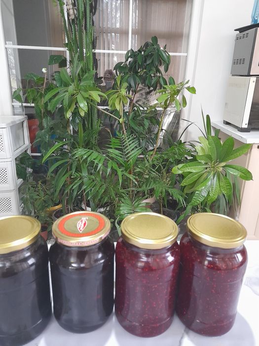 Домашние варения