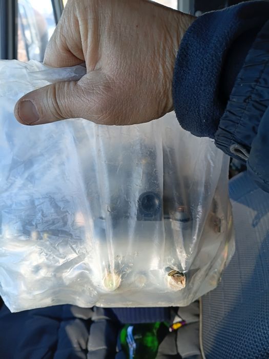 Продам карбюратор Газ 53