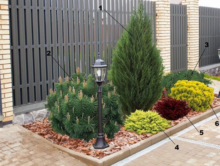 Ландшафтный дизайн