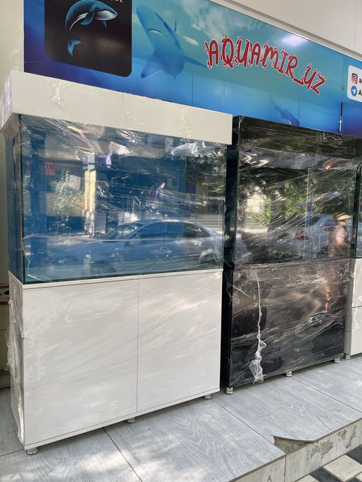 Akvarium yengi va sifatli alo darajada