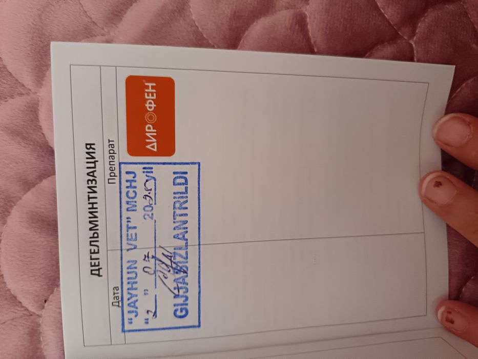 E'lon Btritanskiy strayt Mushuk sotiladi