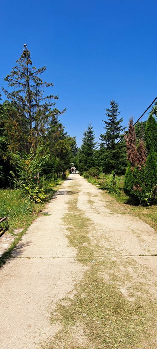 VAND LOC VECI Cimitirul Particular PACE VOUA Magurele Ilfov